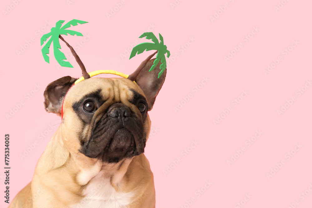 Cute French bulldog with palm accessory on pink background