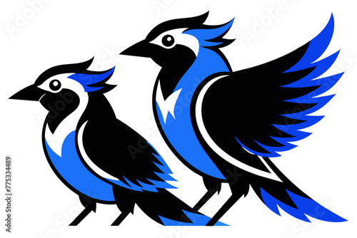  silhouette image GBlue Jay bird vector illustration white background
