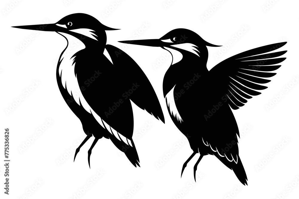 Fototapeta premium silhouette image,Kingfisher bird,vector illustration,white background
