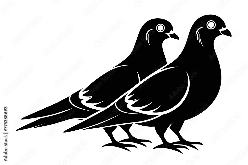 silhouette image,Pigeon bird,vector illustration,white background silhouette image,Pigeon bird,vector illustration,white background