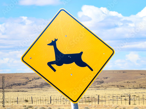 deer jumping  sign in Patagonia at the street photo