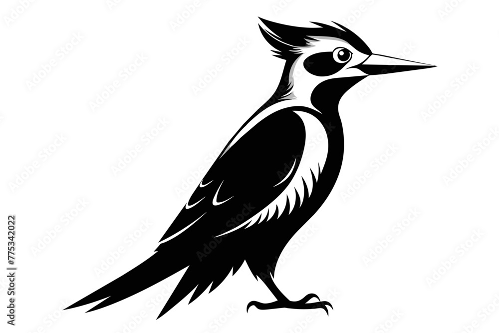 silhouette image,Woodpecker bird,vector illustration,white background silhouette image,Woodpecker bird,vector illustration,white background