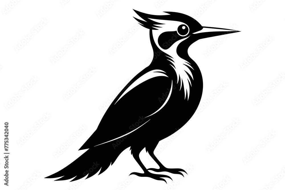 silhouette image,Woodpecker bird,vector illustration,white background silhouette image,Woodpecker bird,vector illustration,white background
