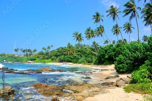 Tropical Beach With Palm Sri Lanka 1