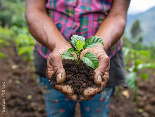 Farmer holding a seedling with a handful of soil
