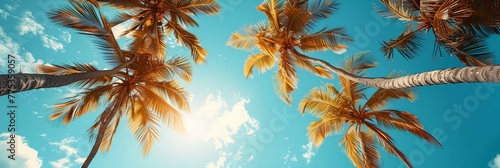 A beautiful tropical scene with palm trees and a bright blue sky. The sun is shining brightly, creating a warm and inviting atmosphere © inspiretta