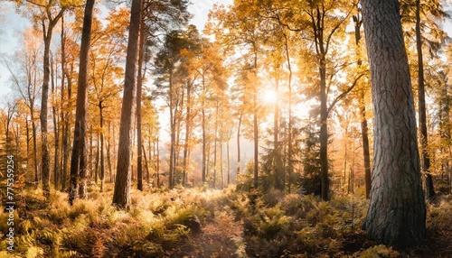 breathtaking panorama of a colorful autumn forest with vibrant foliage and sunlight filtering through the trees generative ai