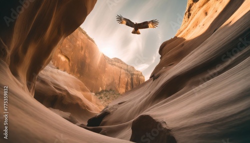 abstract eagle in the famous canyon antelope near page arizona usa abstract background