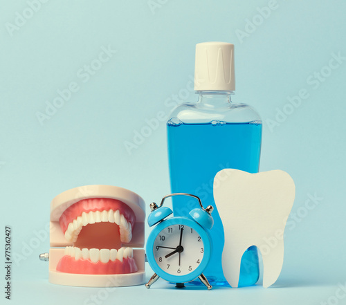Human jaw model, mouthwash and alarm clock on blue background, oral hygiene