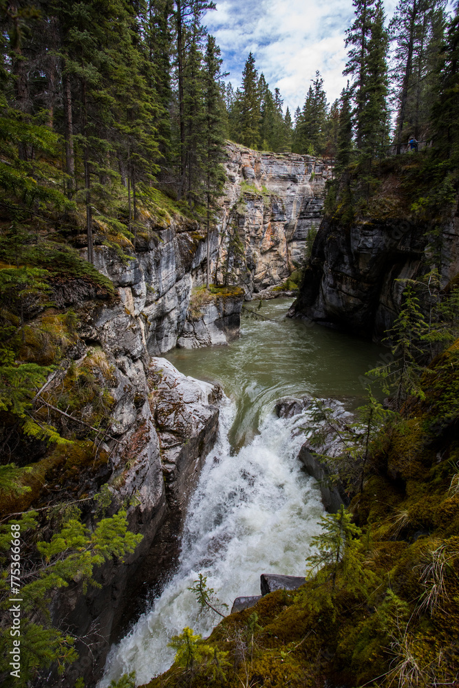 Obraz premium Summer landscape in Maligne Canyon, Jasper National Park, Canada