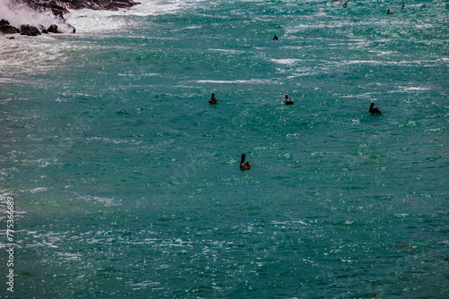 Birds flying over the ocean at the beach 