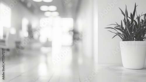 Mysterious silhouette amidst white-clear office blur - abstract corporate atmosphere concept