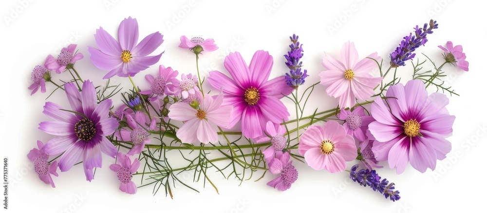 Purple flowers on white surface with lavenders