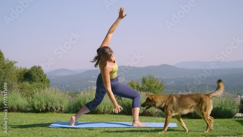 Woman in yellow top is practicing yoga pose in the garden when she loses her balance and falls just as her cute dog walks by. Young lady is focused on her perfect yoga posture to regain core strength. photo