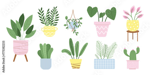 Set of indoor flowers. House plants in pots. Potted plants for home. Vector illustration with white isolated background.