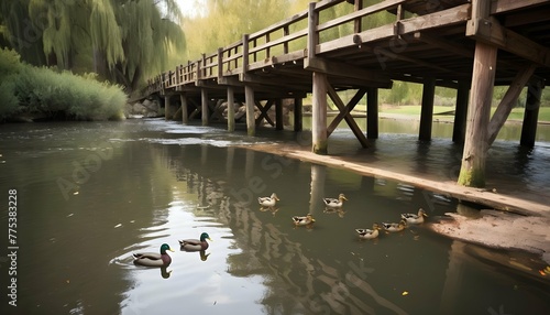 Ducks-Floating-Under-A-Rustic-Wooden-Bridge-