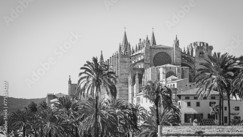 Majestic Gothic Cathedral Towering Over Palm Trees in Monochrome © juanjo