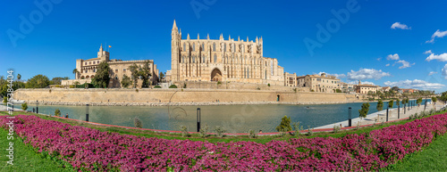 Panoramic View of a Historical Cathedral by the River with Vibrant Floral Foreground © juanjo