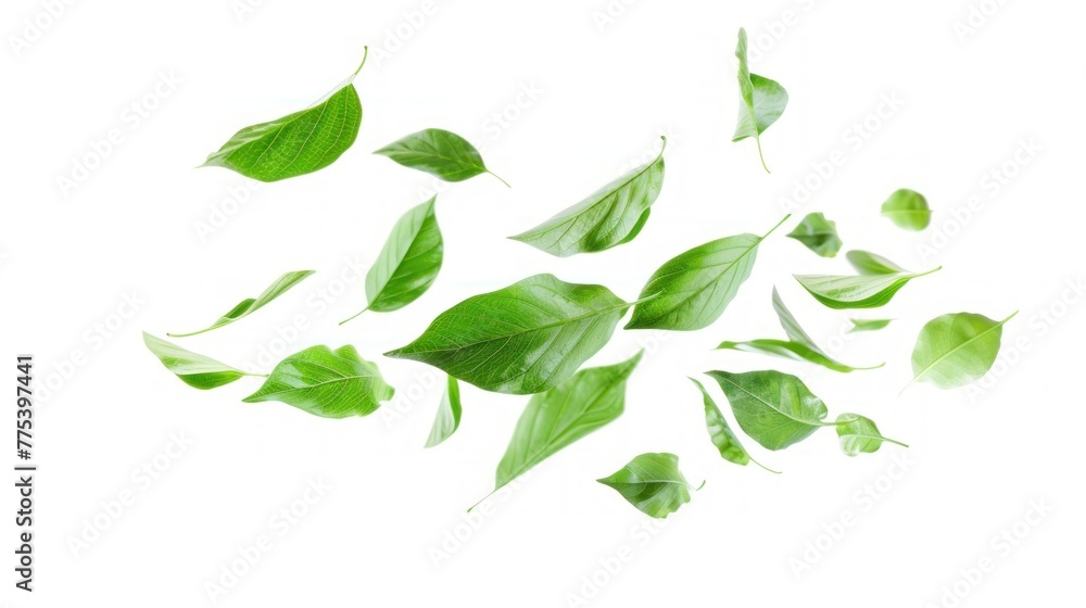 Drifting green leaves on white background. banner, copy space