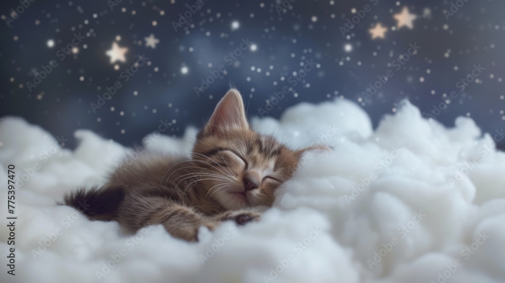 A kitten sleeping on a cloud of fluffy white clouds, AI