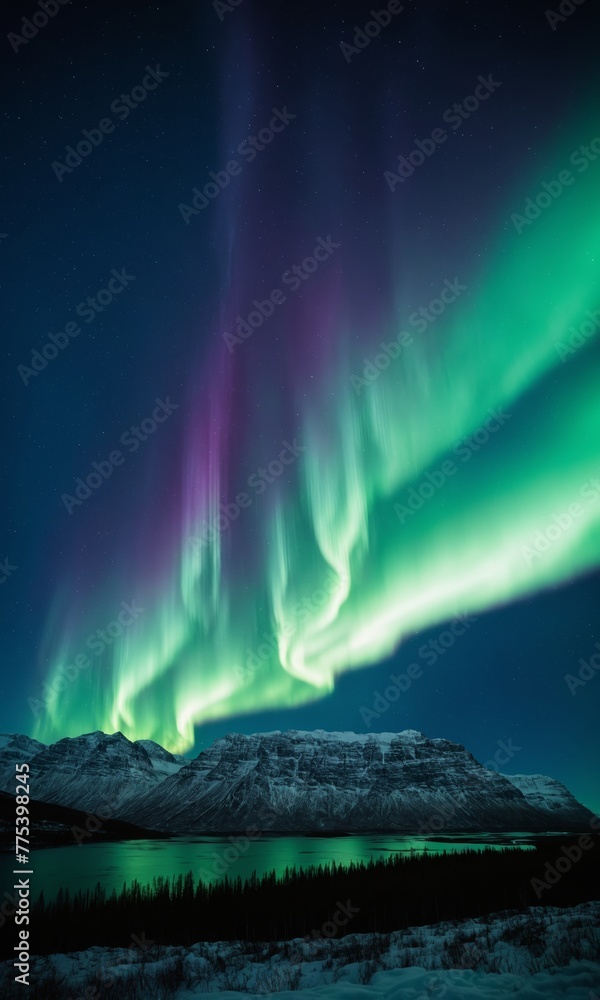 Northern lights, Aurora borealis, over fjord in Iceland