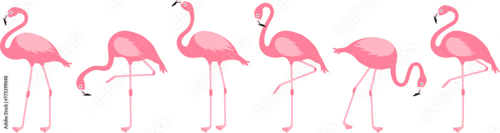 Cartoon flamingo, pink swan icon, tropical bird, summer animal set, cute zoo character isolated on white background. Exotic fauna vector illustration
