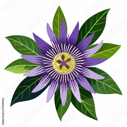 Passionflower Vector Art for Stunning Designs