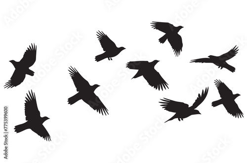 Flying birds silhouettes Vector illustration white background © MDHABIBUR