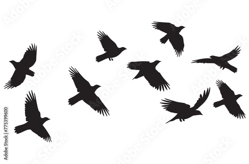 Flying birds silhouettes Vector illustration white background