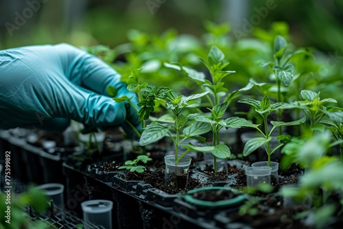 At an agricultural research institute, scientists breed droughtresistant and highyielding crop varieties to support the global transition to plantbased diets, clean sharp photo