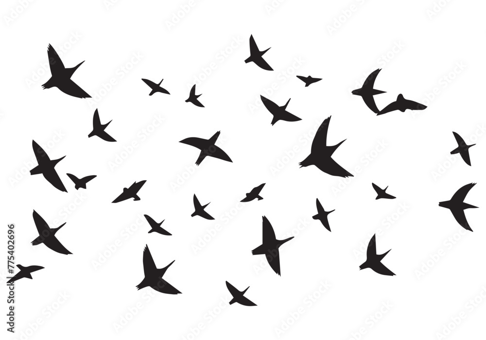 Set of flying birds Vector silhouettes