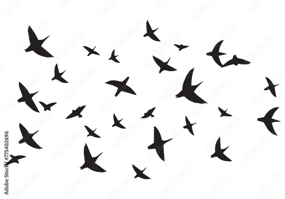 Set of flying birds Vector silhouettes Set of flying birds Vector silhouettes