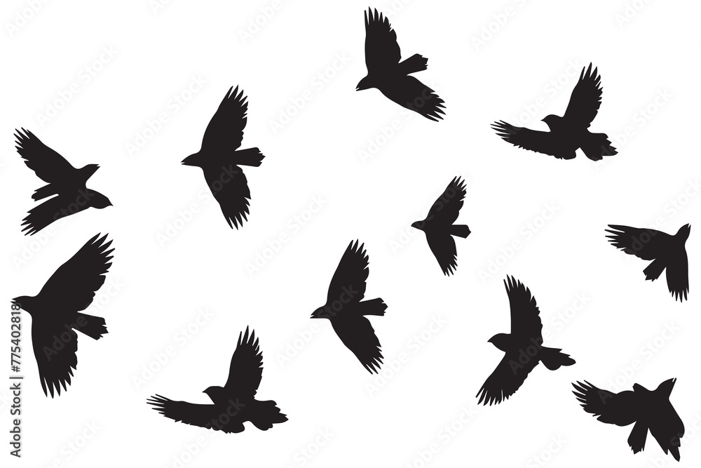 Fototapeta premium Set of flying birds Vector silhouettes