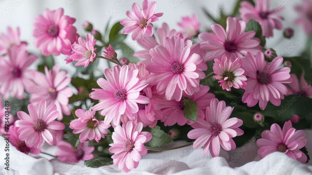 A close-up of several pink flowers on a white cloth, with a leafy green plant in the background A close-up of several pink flowers on a white cloth, with a leafy green plant in the background