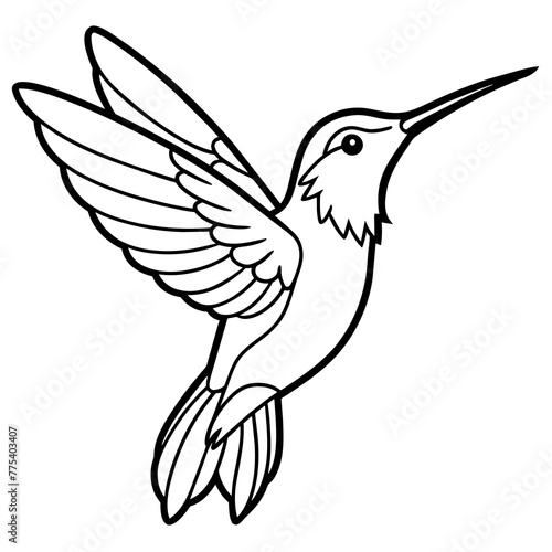 line art of a hummingbird