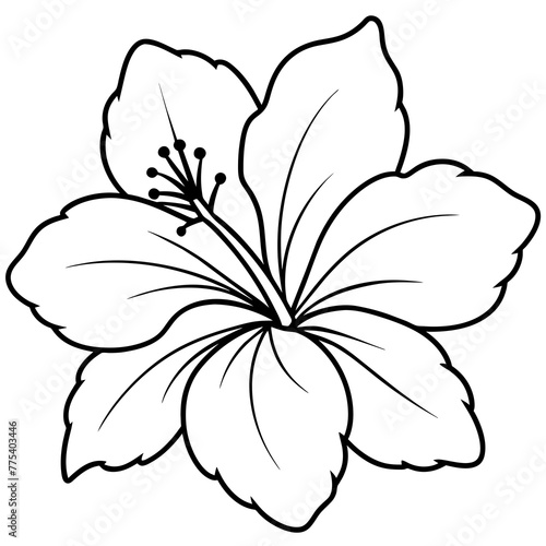 line art of a hibiscus
