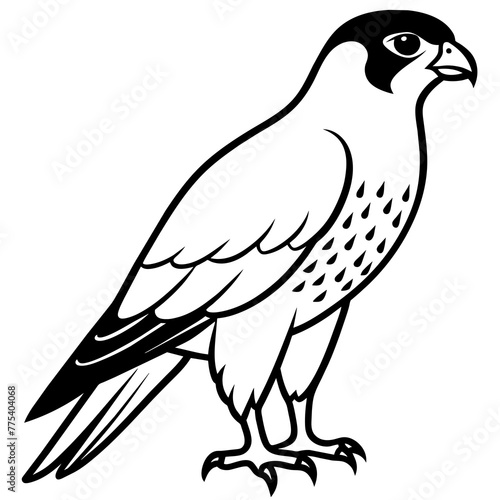 line art of a falcon