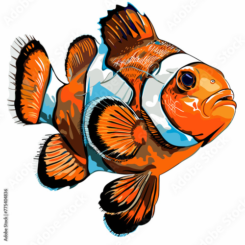 Clown fish, Amphiprion percula, vector illustration