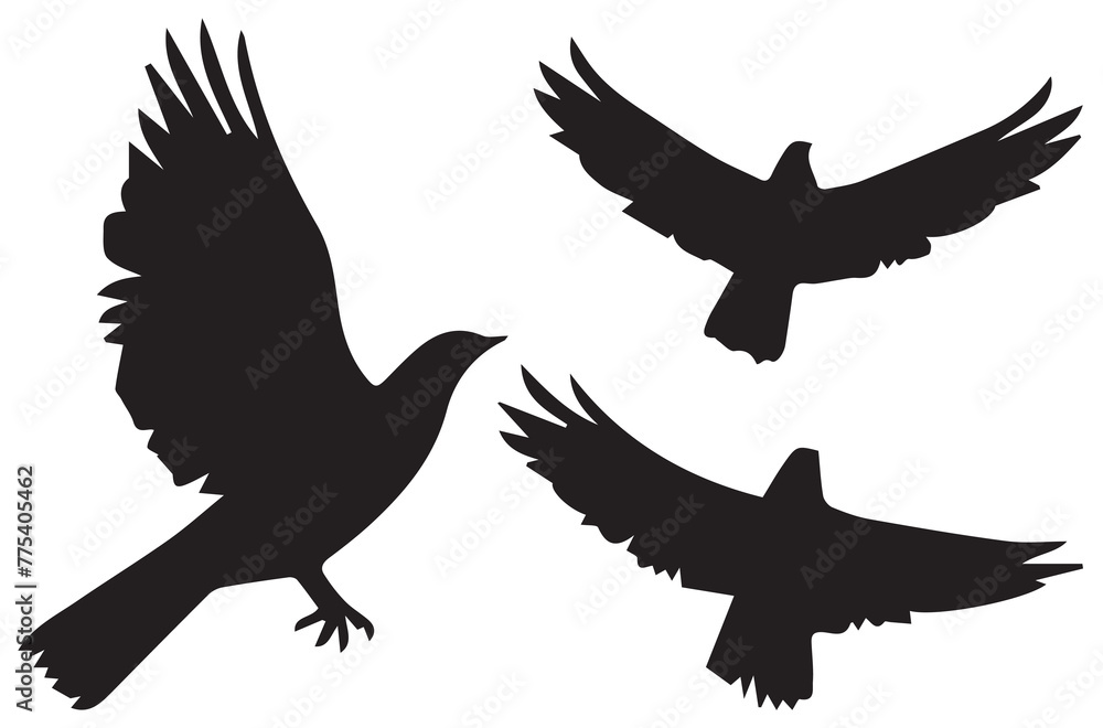 Obraz premium silhouettes flying birds Vector illustration