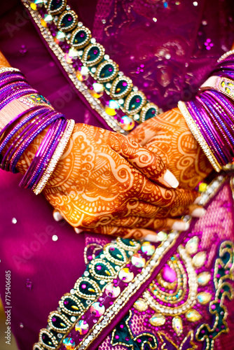 Henna detail with purple sari