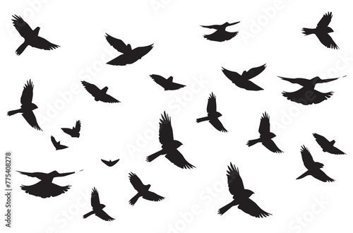 silhouettes flying birds Vector illustration © MDHABIBUR