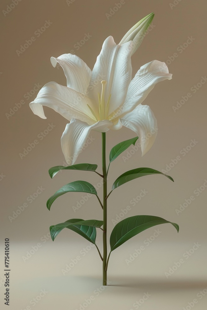 3D Easter lily pure and white 3D Easter lily pure and white