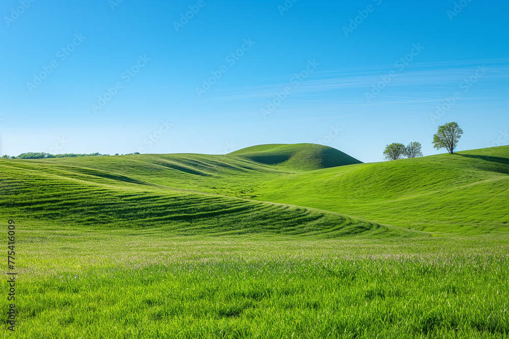 Naklejka premium the landscape of a vast meadow for computer wallpaper, or the texture of the view outside the window for visualization, generative AI