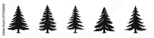 Pine tree silhouette set. Spruce trees black silhouettes.