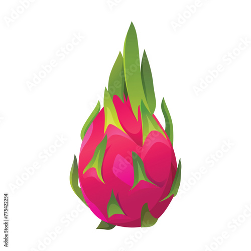 Vector fresh whole dragon fruit pitaya isolated on white background
