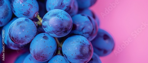   Close-up of grapes on pink-blue background with water drops