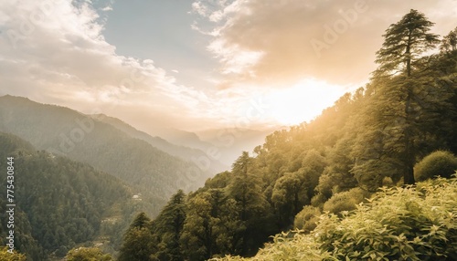 majestic green forest in indian himalayas dharamsala baksu