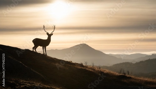 silhouette of deer on top of mountain at sunset © Aedan