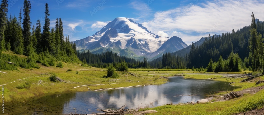 Scenic view of a majestic mountain looming over a tranquil lake with a lush green forest in the foreground