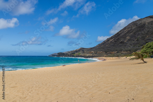 a beautiful spring landscape at Sandy Beach with blue ocean water  silky brown sand  people relaxing  palm trees and majestic mountain ranges in Honolulu Hawaii USA